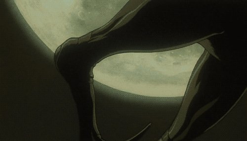 D / Ди