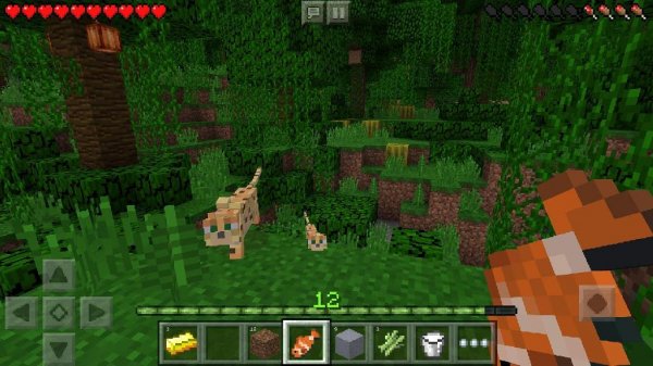 Minecraft - Pocket Edition (1. 1. 2)