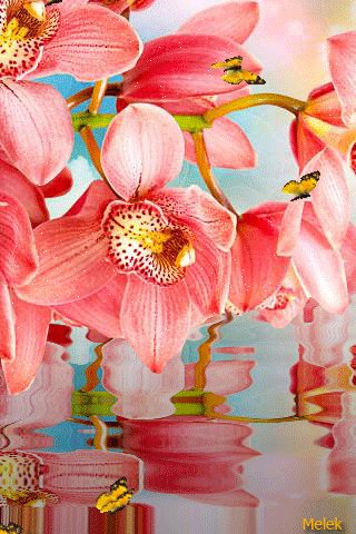 file_65240145