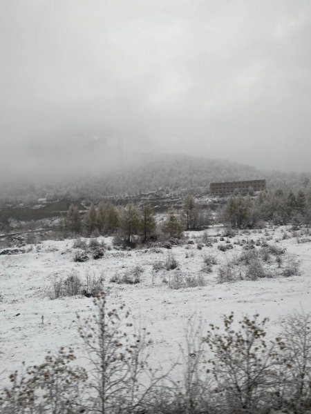 IMG 20261002 145513 505