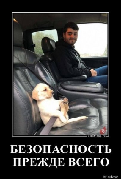 Безопасность прежде всего
