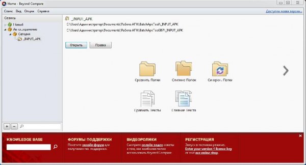 Beyond Compare 4 Pro Editions v4. 0. 0 build 18847 Rus Portable