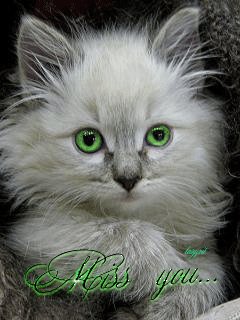 file_47725647