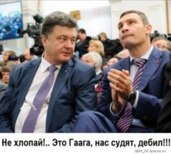 Гаага суд