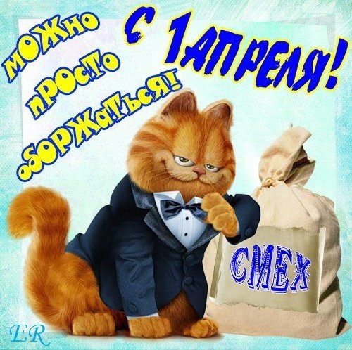 file_81320979