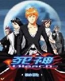 bleach блич