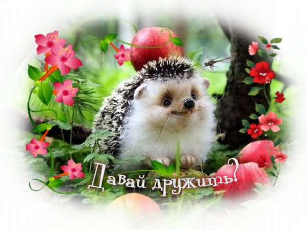 Давай дружить?