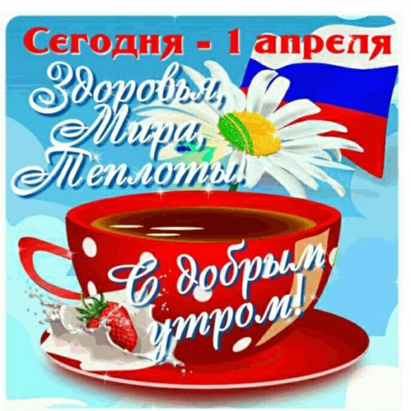 S20401-111523(1)