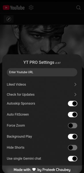 YouTube [3. 87]