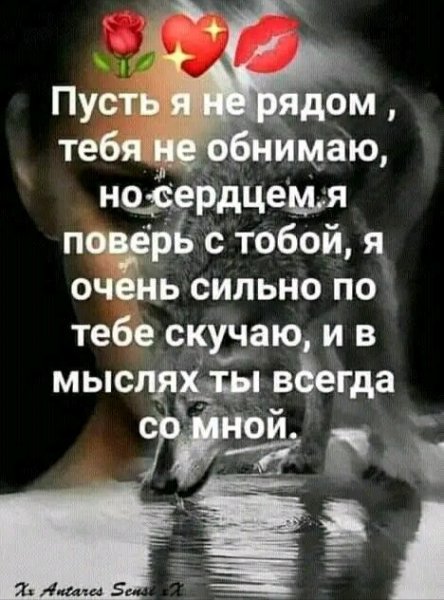 IMG 20261003 023812