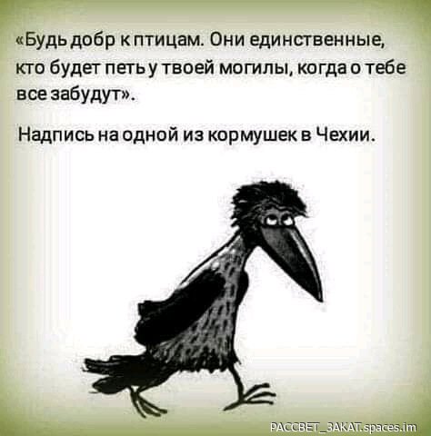 FB IMG 16813651317790009-