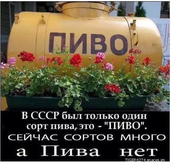 c200f49f3b087429e55dd90a6202f6c5