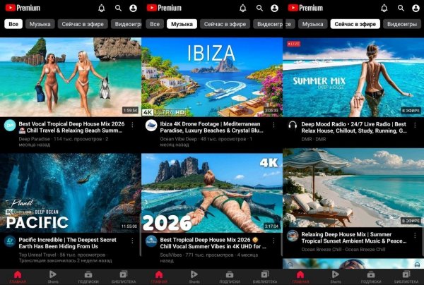 YouTube-5. 6. 80. 393-Mod