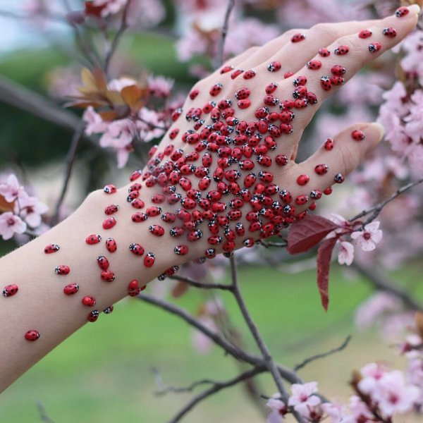 Живая Перчатка