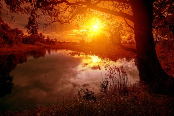 Scenery Sunrises and 511428