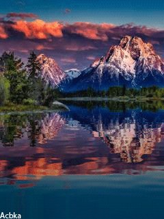 file_58235181
