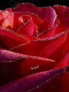 file_48096926