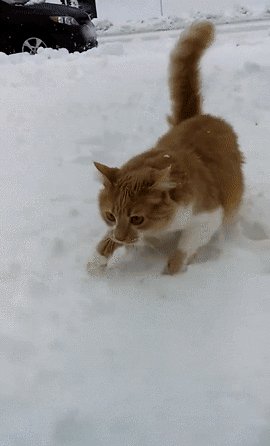 ))