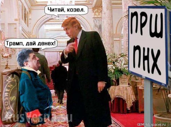 Параша попрошайничает