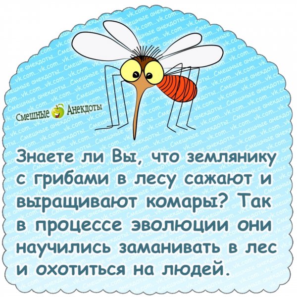file_103226147
