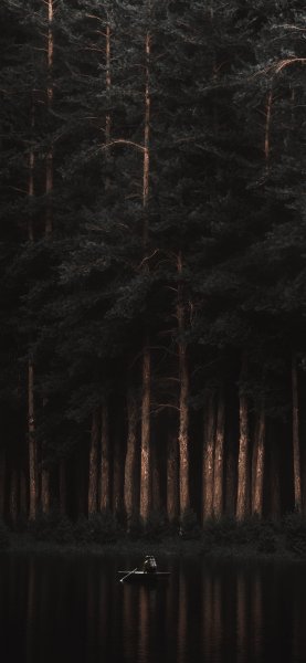 file_96700616