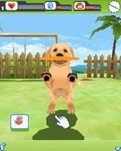 3D DogZ 320x240 s40v6-C3-00