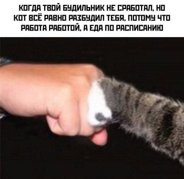 IMG 20261005 201435 639