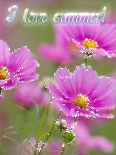 file_48085729