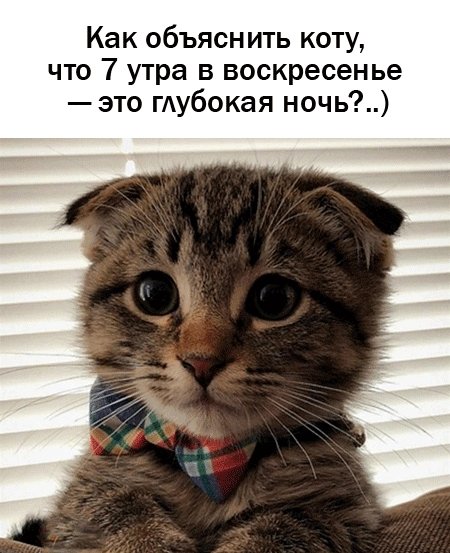 file_103362330