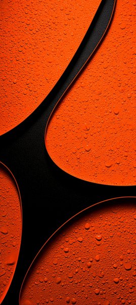adapted 1080x2408 1788450293