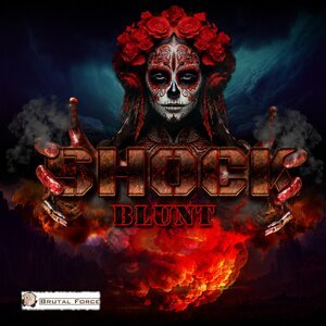 Shock (NL) - Blunt