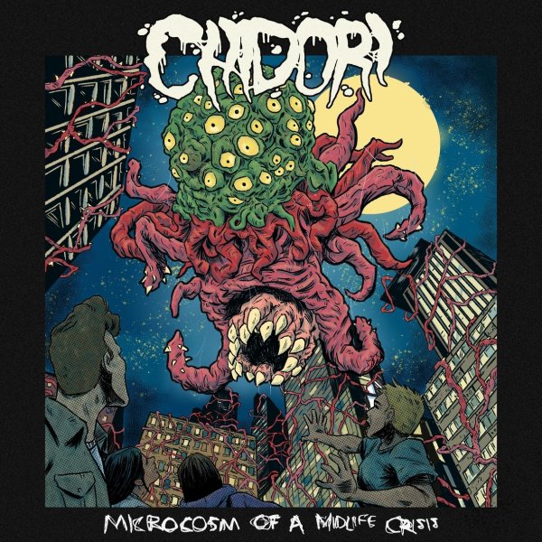 Chidori - Not In Love