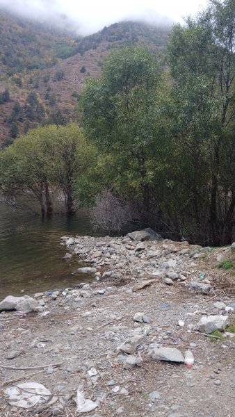 picture_420765560