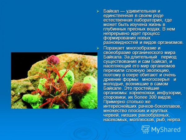 Байкал