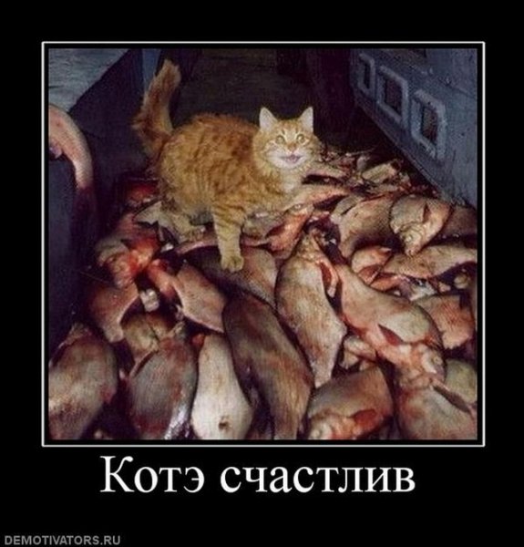 B4b6932295d3d24c38