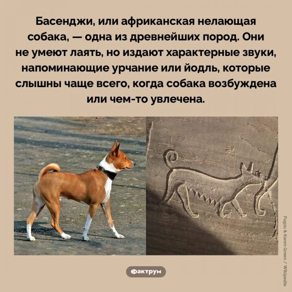 Бесенджи
