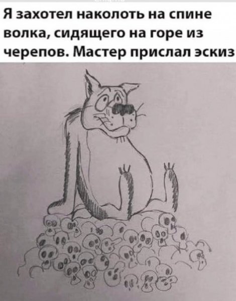 Fa6fcf7ae4 20334113