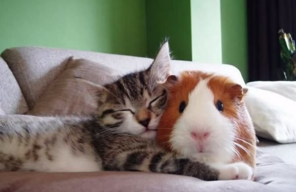5 1 17