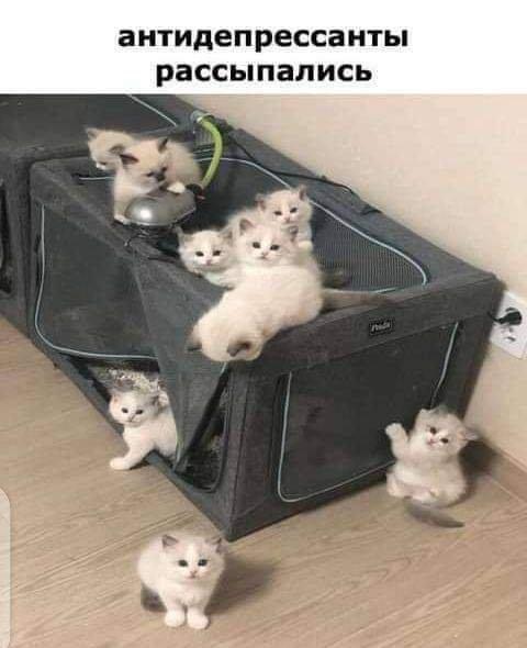 FB IMG 1633510924157