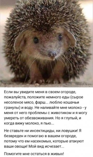 34f8a353bb 20055765