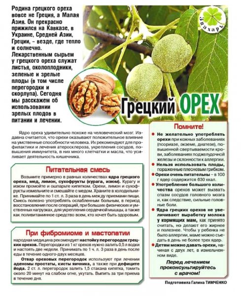 Грецкий орех