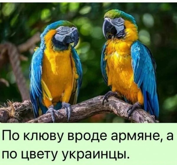 IMG 20260418 140602