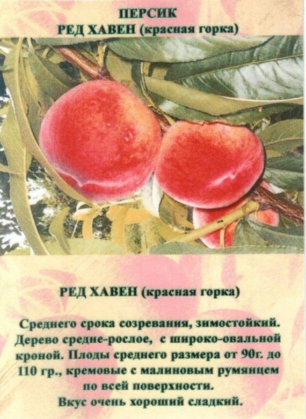 &amp;quot;Красная Горка&amp;quot;