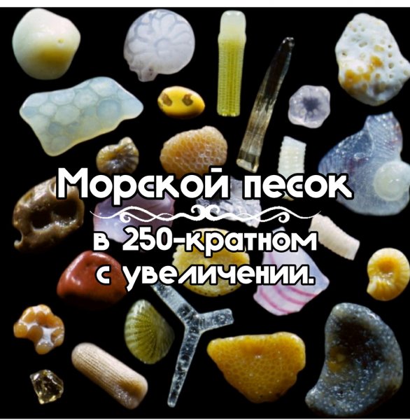 Screenshot 2022-01-24-11-00-24-496