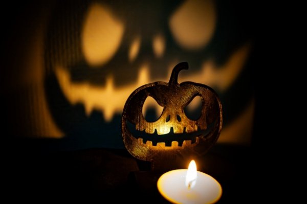 IMG-20251101-WA0002
