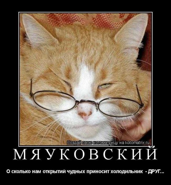 Мяуковский