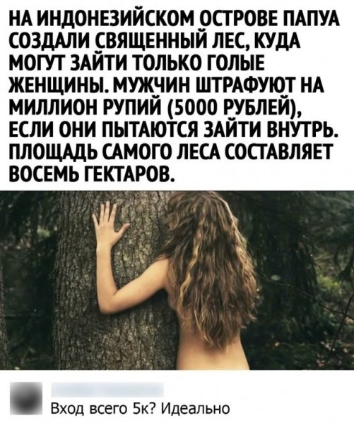 Лес )