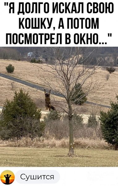 e93c909d31d601ad0123e733d04