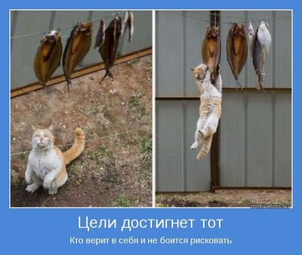 Да! ))