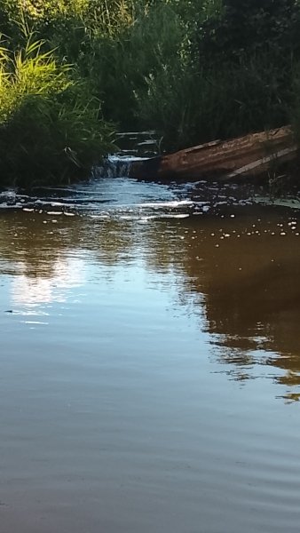 picture_419013183